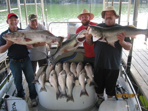 Nice Striped Bass